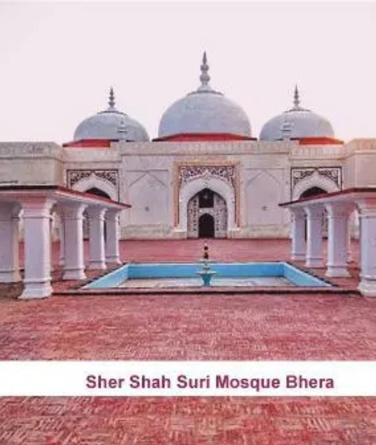 Contact BPExch Dealer in Sargodha — 24/7 Available